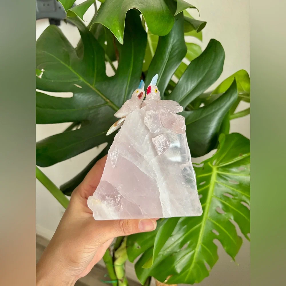 Parrot Carvings on Rose Quartz
